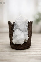 True glass CANDLEZ.IN