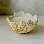 Staccato light Viktamna