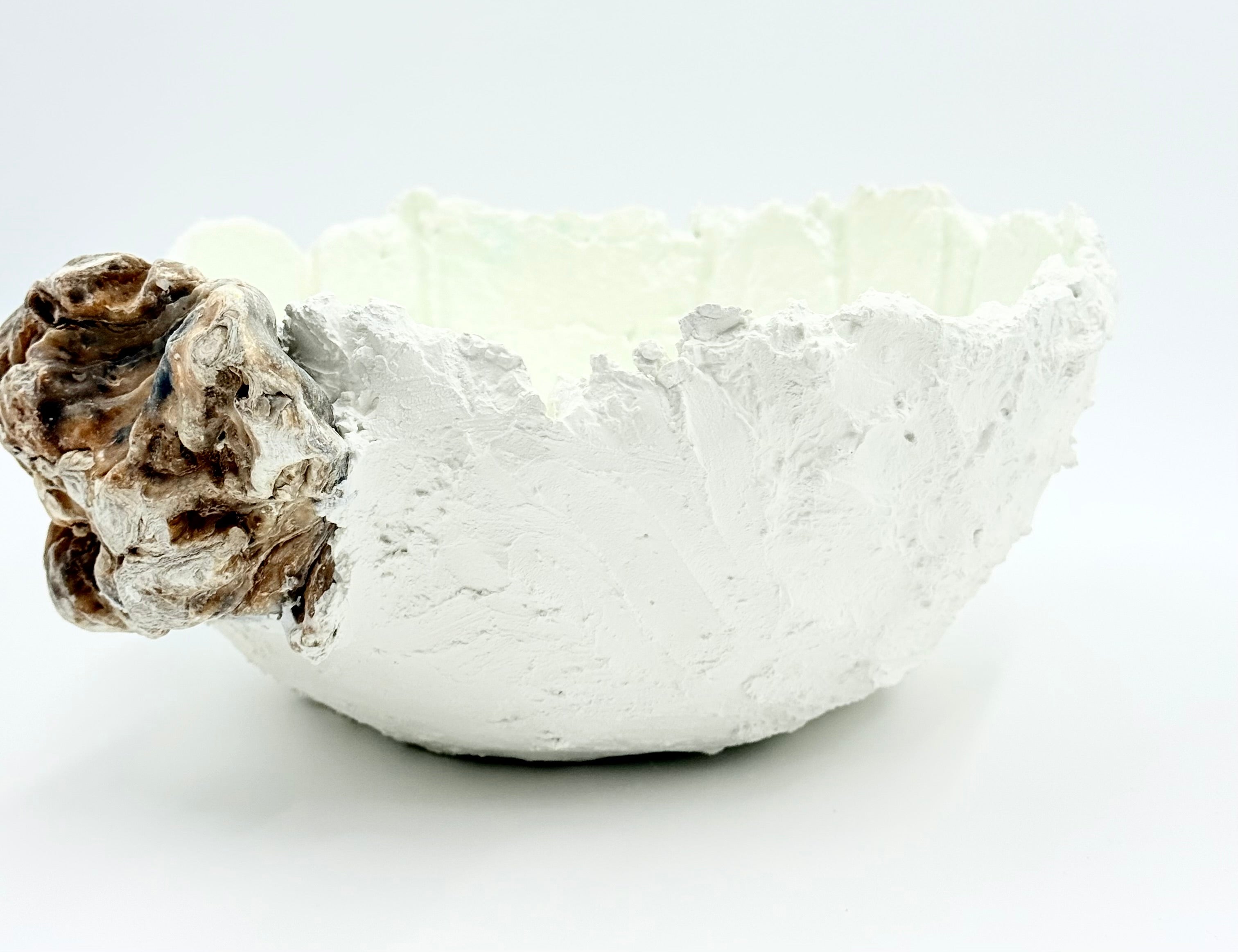Oyester shell 1