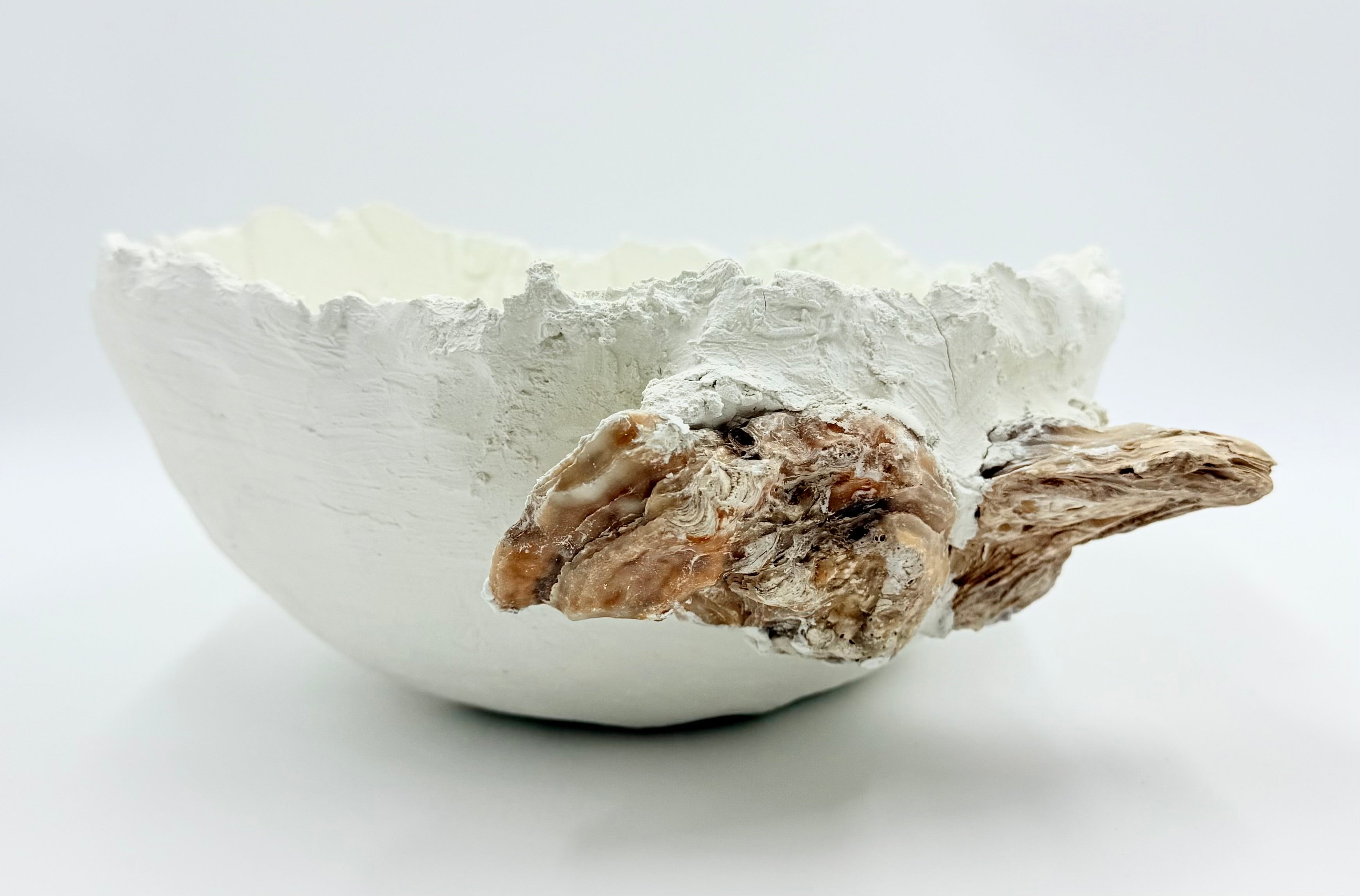 Oyester shell 2