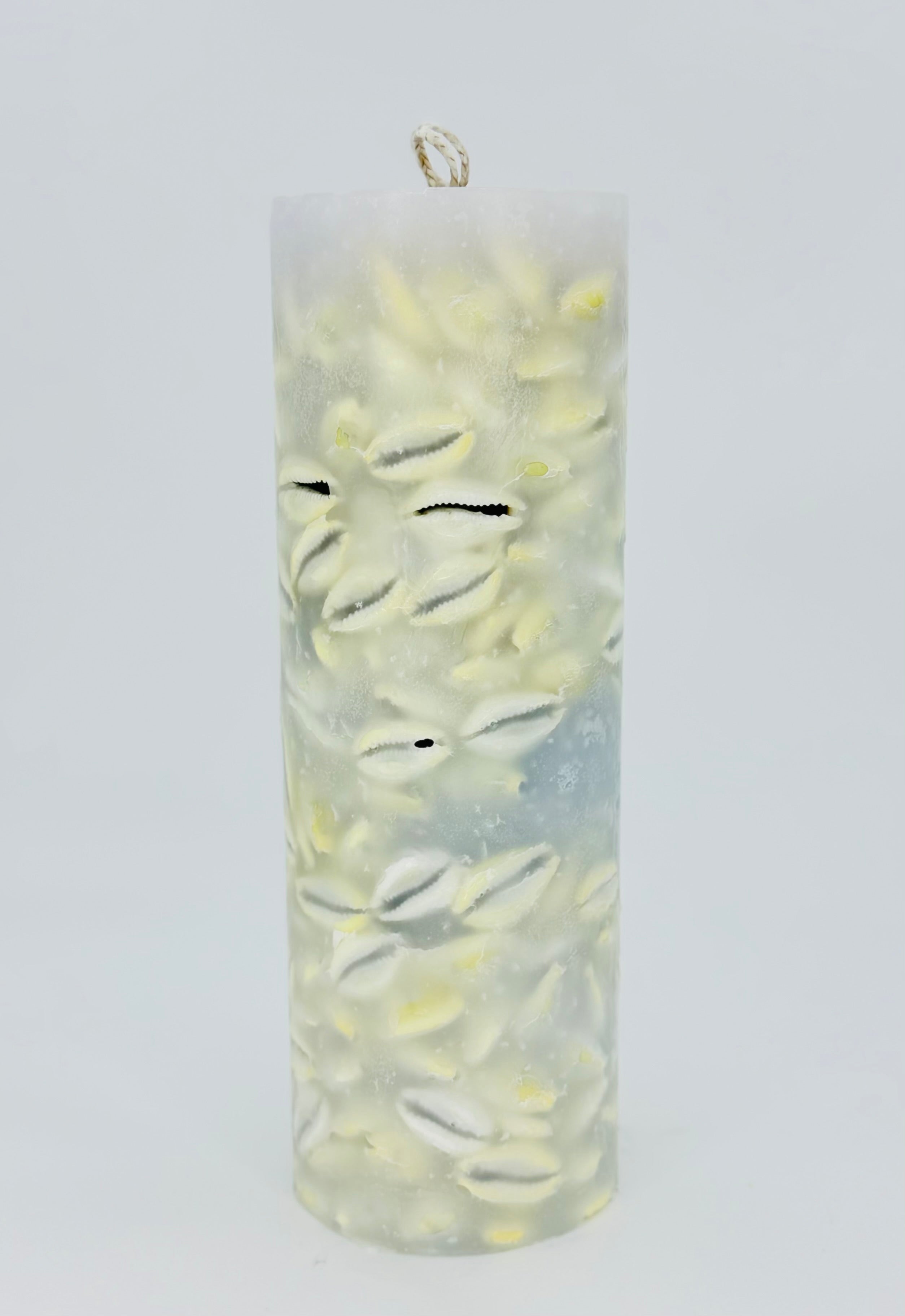 Cowrie shell