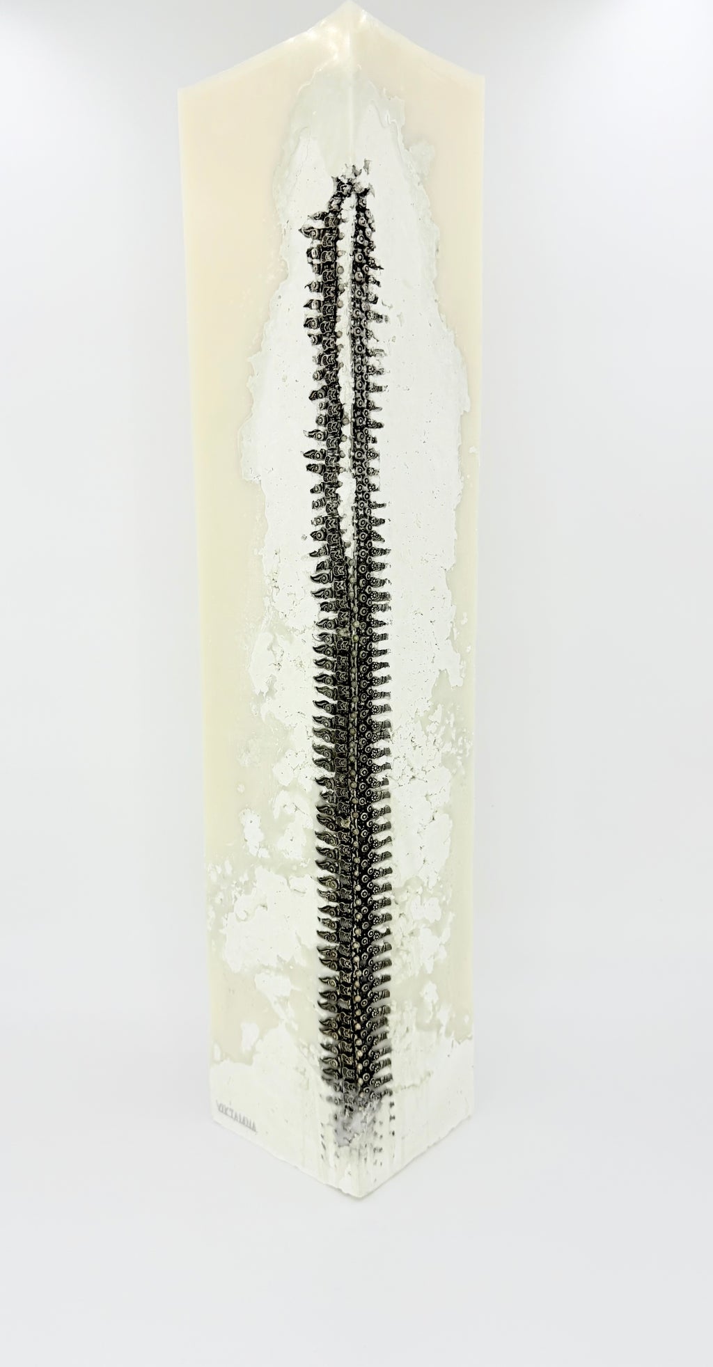 The concrete jewelled