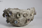 Spark Vault CANDLEZ.IN