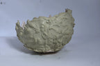 Sage & Sand CANDLEZ.IN